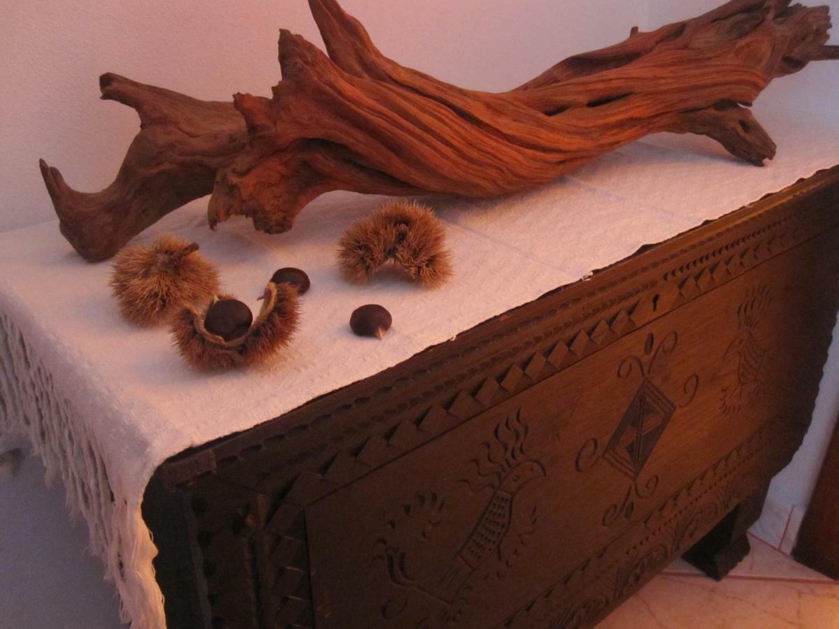 Bed & Breakfast I Fenicotteri