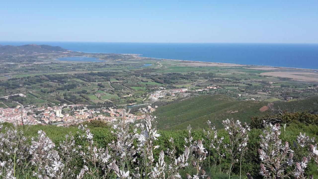 I Fenicotteri