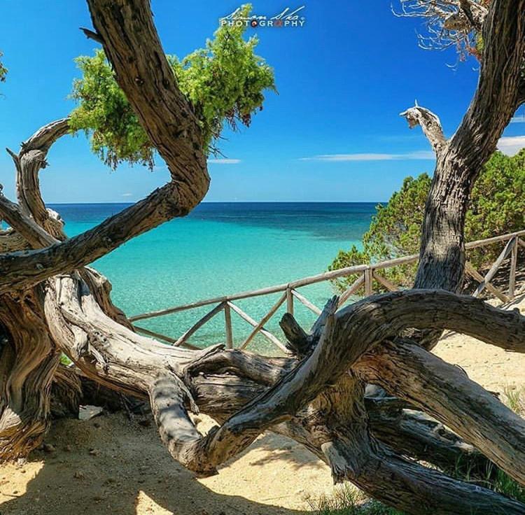 Bed & Breakfast I Fenicotteri *